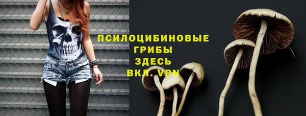 ECSTASY Абаза