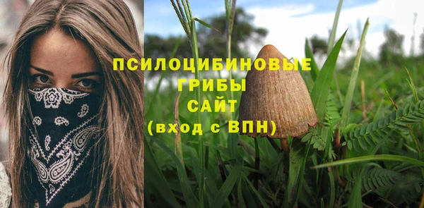 ECSTASY Абаза
