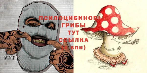 сатива Алексин