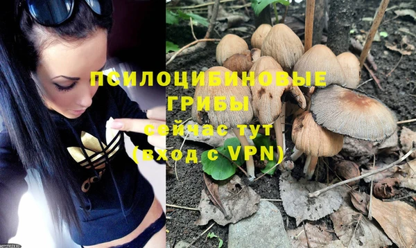 первитин Абинск