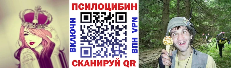 KRAKEN ONION Казань Галлюциногенные грибы Cubensis что такое