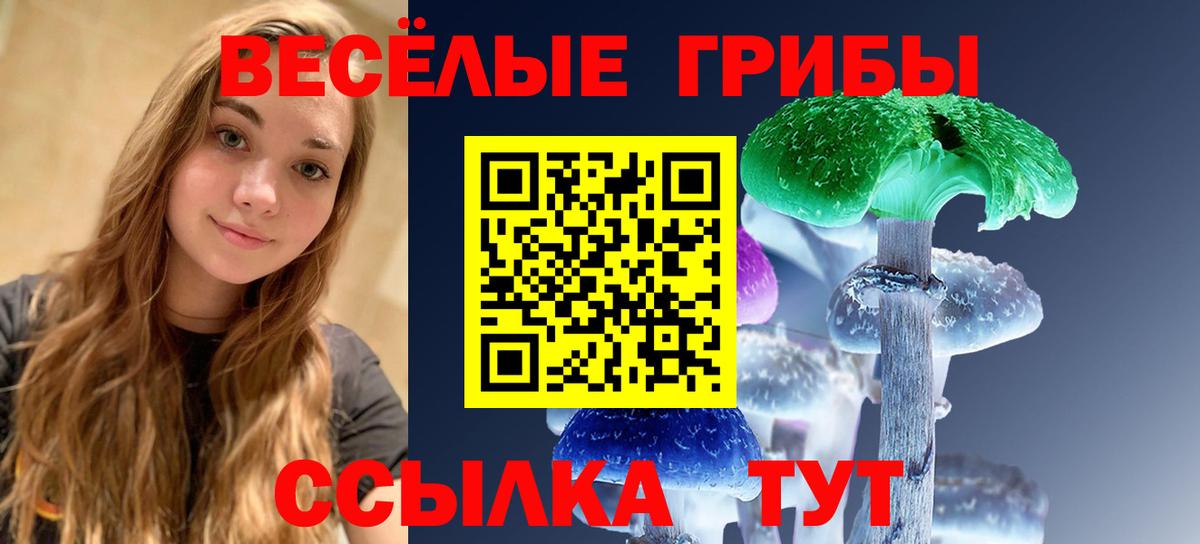 купить наркотик  Вход с VPN  Казань  Галлюциногенные грибы ЛСД 